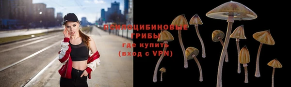прущие крисы Ветлуга