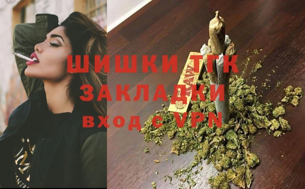 тгк Абаза