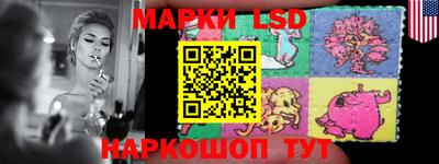 гашик Моздок