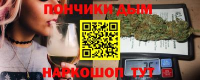 гашик Моздок
