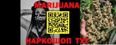 гашик Моздок