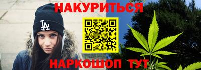 гашик Моздок