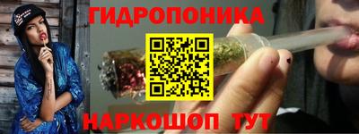 гашик Моздок