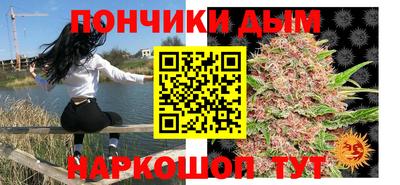 гашик Моздок