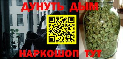 гашик Моздок