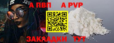 гашик Моздок