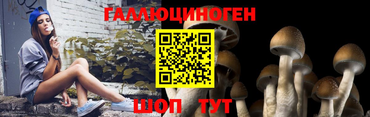 Галлюциногенные грибы прущие грибы  Вход с VPN  Гусь-Хрустальный 
