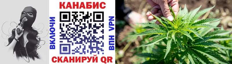 OMG сайт  Гусь-Хрустальный  Каннабис SATIVA & INDICA 